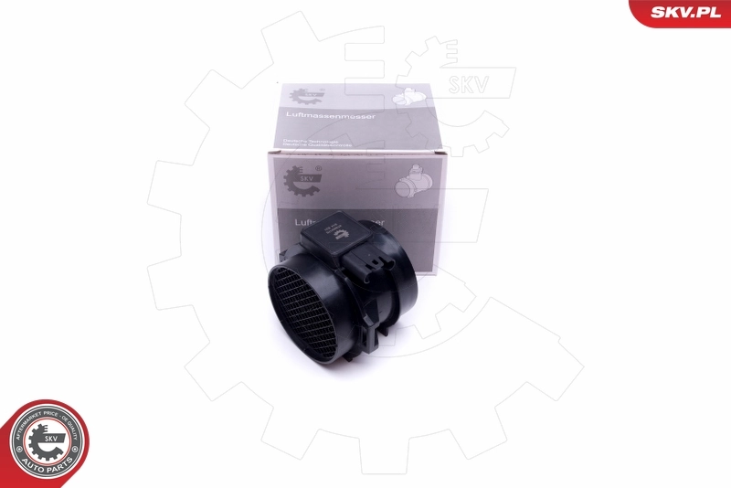 Mass Air Flow Sensor